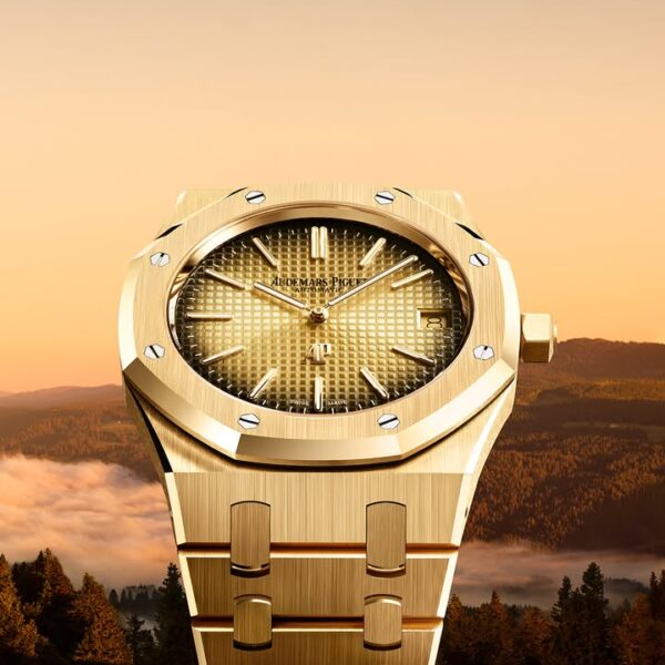 Trendy Audemars Piguet Watch For Men (GOPI2884)